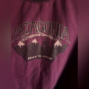 Patagonia sweatshirt